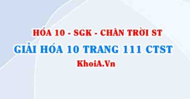 Giải Hóa 10 Chân trời Sáng tạo trang 110